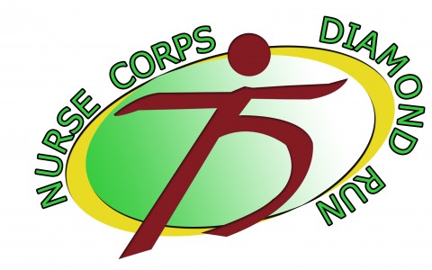 diamond-run-2013-poster