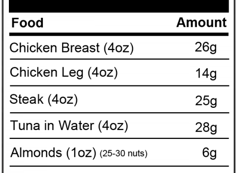 protein-in-foods-2013