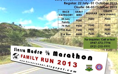 SMM-poster-2013