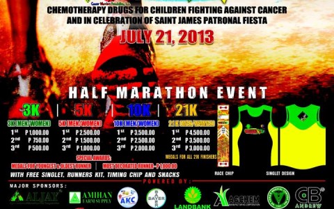 warrior-run-2013-poster