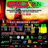 warrior-run-2013-poster