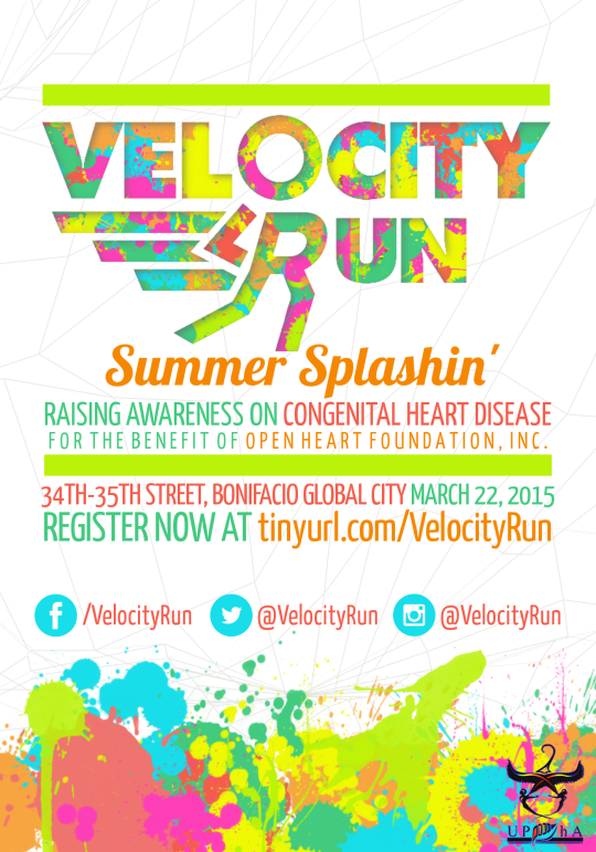 Velocity_Run_2015_Poster