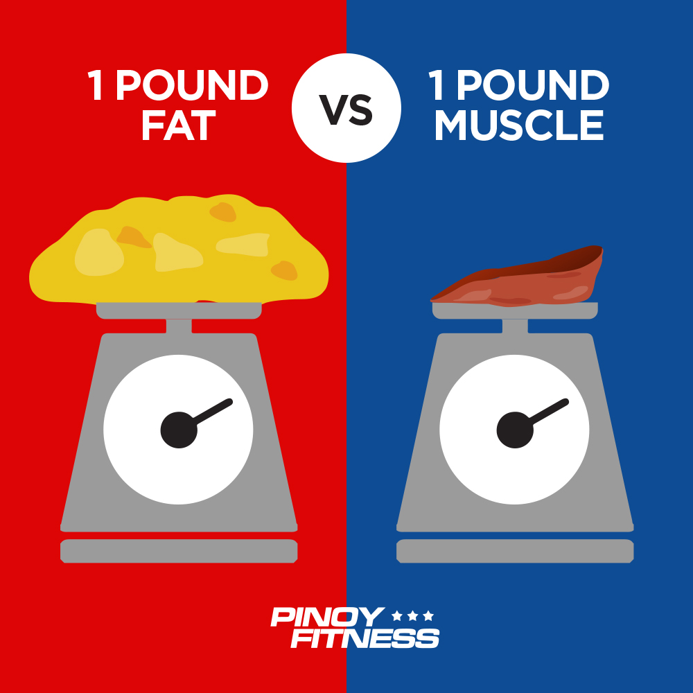 Muscle Versus Fat Poster Pound Muscle Versus Pound Fat Exercise Poster ...