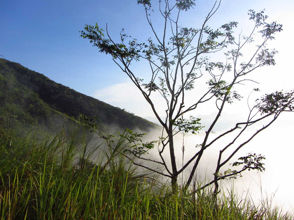 tanay-trail-run-2012-photo-7