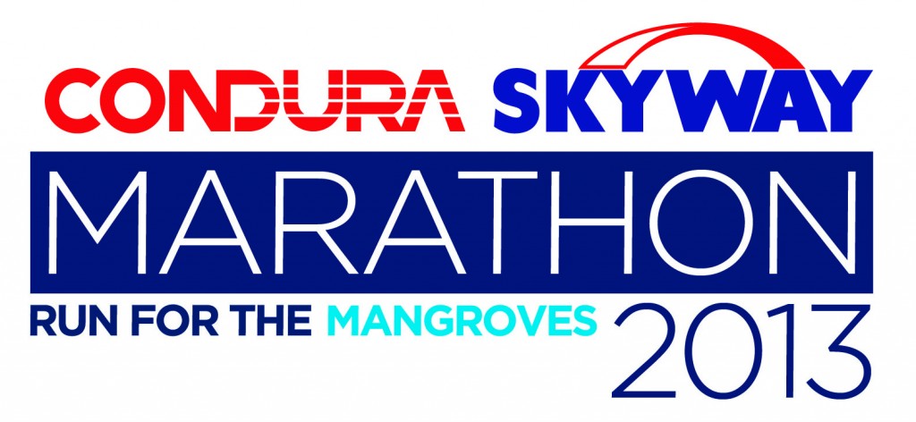 condura_skyway_marathon_2013_logo condura_skyway_marathon_2013_logo
