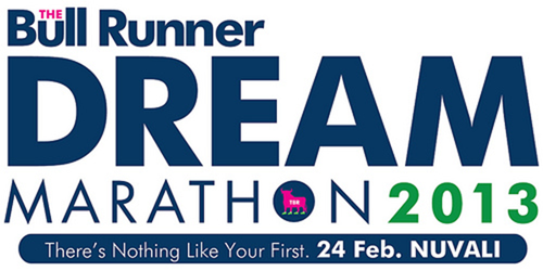 tbr-dream-marathon-2013-poster