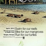 2013-pico-tri-poster