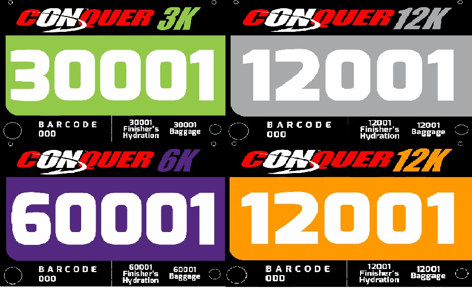 conquer-2013-bib-design