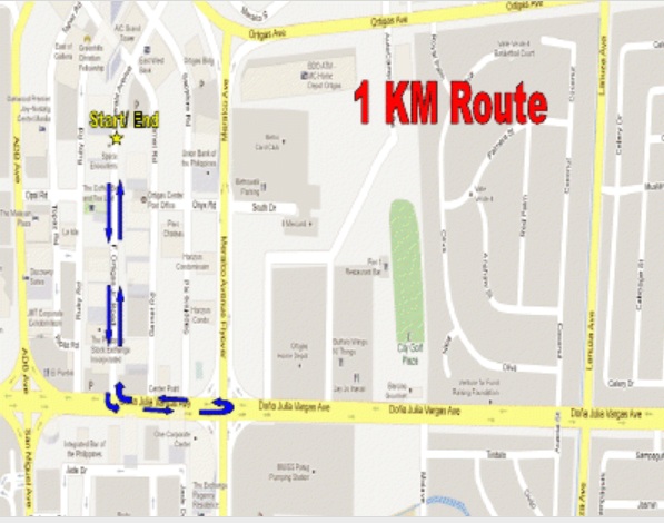 dream-chase-2013-1k-route-map