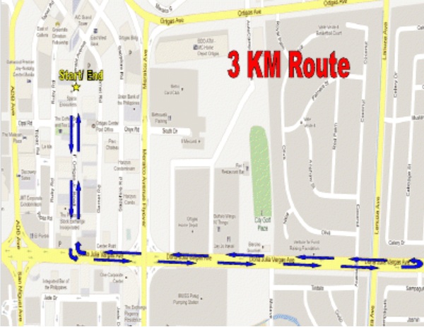 dream-chase-2013-3k-route-map