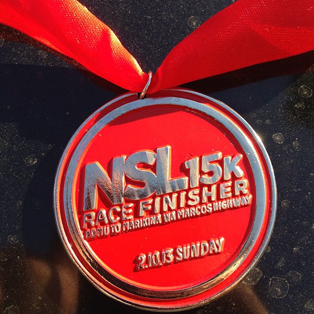 nsl-2013-medal