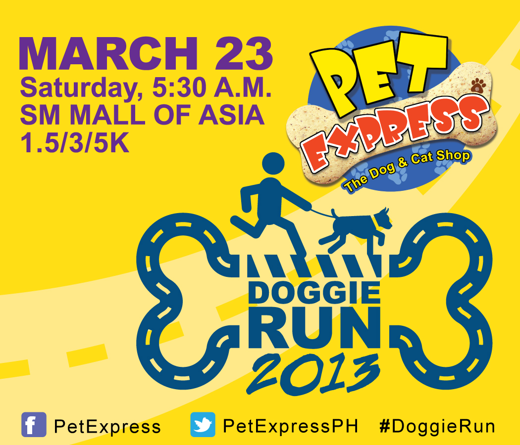 pet express doggie run 2013 results and photos