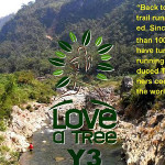 love-a-tree-2014-trail-marathon