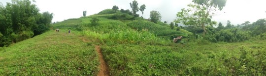 runnilla-eco-challenge-2014-trail-picture