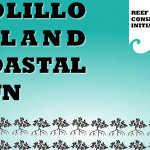 Polillo Run cover 2014