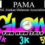 pama-glow-run-2014-cover