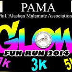 pama-glow-run-2014-cover