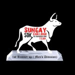 sungay-50K-challenge-ultramarathon-2014-trophy