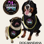 PAMA-Glow-Fun-Run-2015-Dog-Bandana