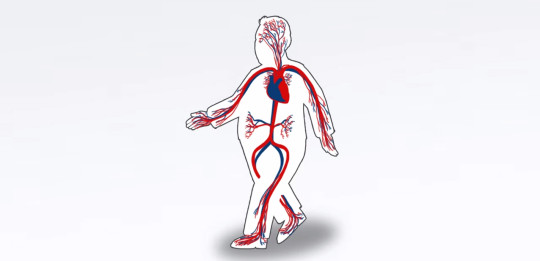 cholesterol-poster-top