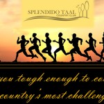 splendido-run-2015-poster