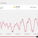 Polar-A360-Functional