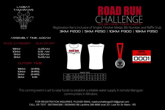 road-run-challenge-2016-poster