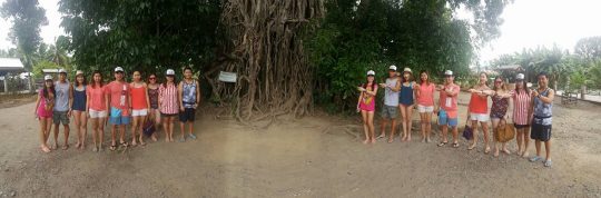 Baler - 2016 Balete 2