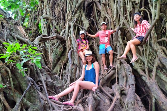 Baler - 2016 Balete