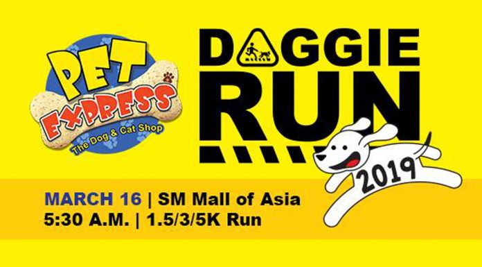 Pet Express Doggie Run 2019 in SM Mall of Asia