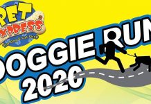 Pet Express Doggie Run 2020 in SM MOA