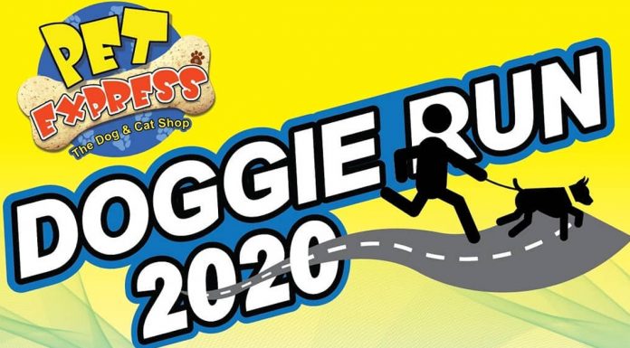 Pet Express Doggie Run 2020 in SM MOA