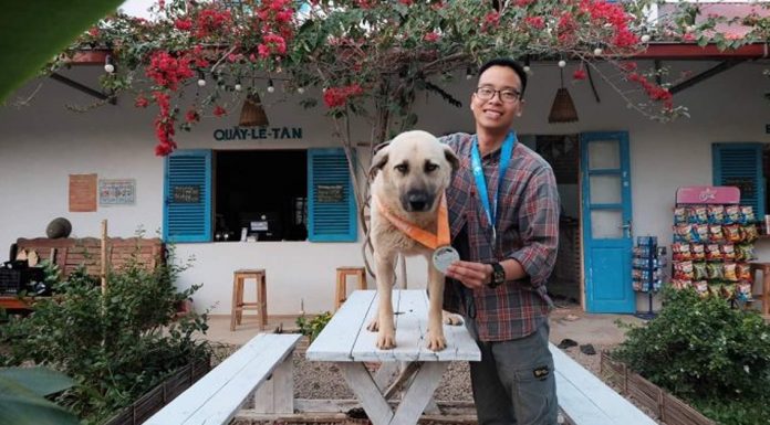 Two year old dog ‘Cam’ conquers 42km Vietnam Trail Marathon