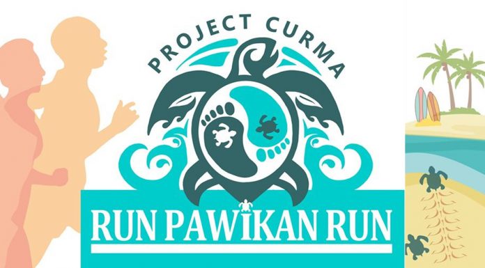 Run Pawikan Run 2020 in La Union