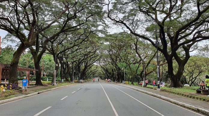 UP Diliman Is Closing the Academic Oval for 2 Weeks