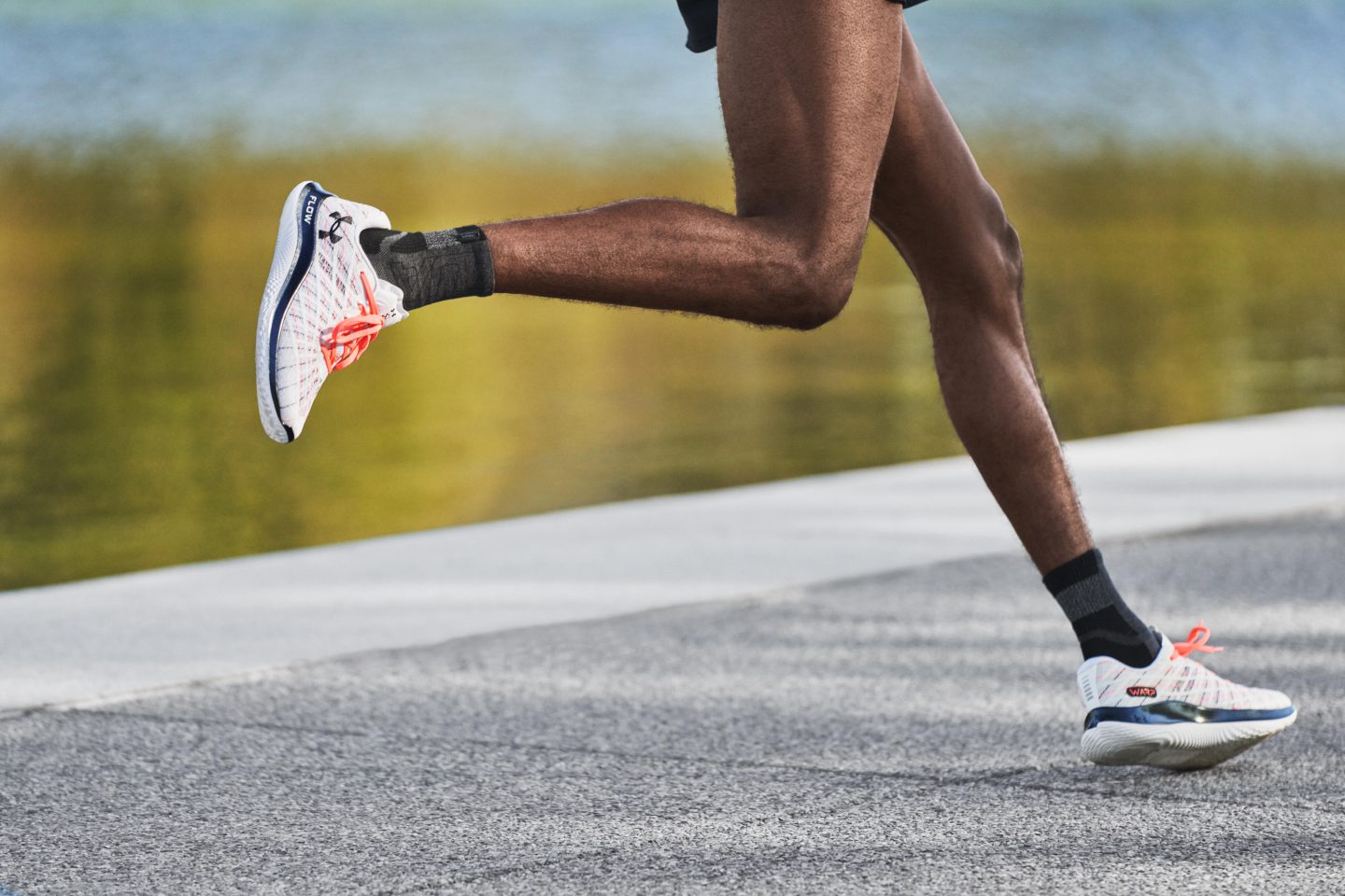 fluid wind trainer