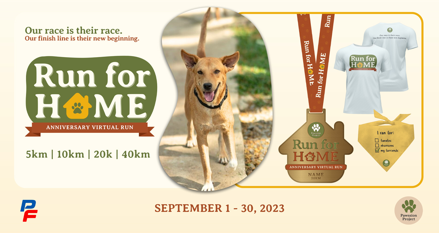 PAWSsion Project : Run for Home Virtual Run thumbnail