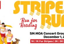 McDonald’s Stripes Run 2024