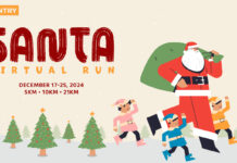 Santa Virtual Run (FREE)